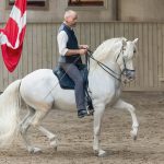 Reitersitz und Gang beurteilen RK 1