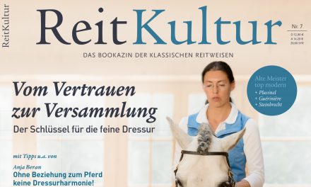 Alte Ausgabe, im Verlag noch lieferbar