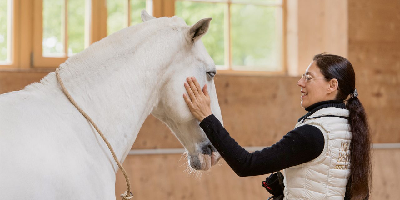 Nachhaltig reiten im Seitengang