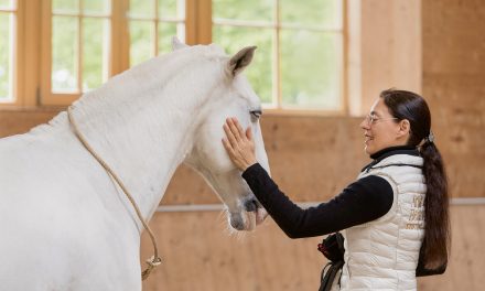 Nachhaltig reiten im Seitengang