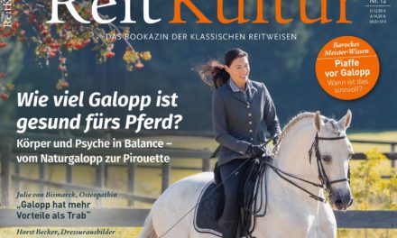 ReitKultur 12